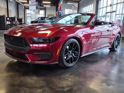 2025 Ford Mustang EcoBoost